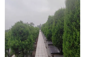 重庆江北飞来寺墓园简介