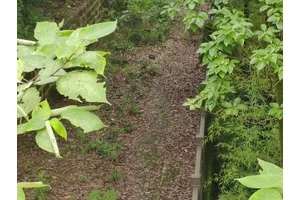 飞来寺墓园规划，传承文化